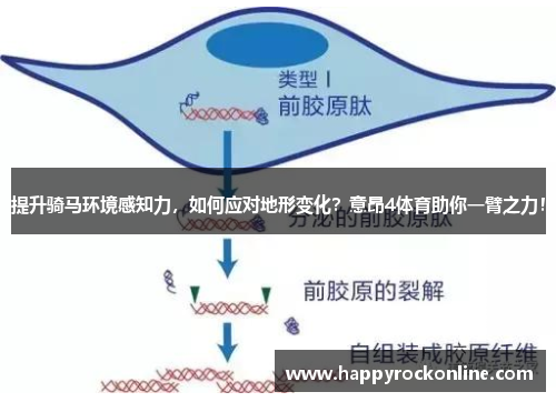 提升骑马环境感知力，如何应对地形变化？意昂4体育助你一臂之力！